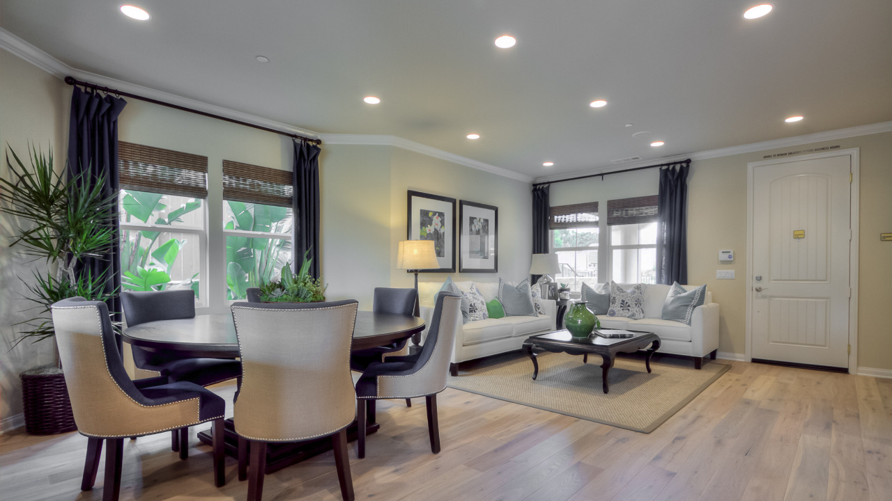Living/Dining Room