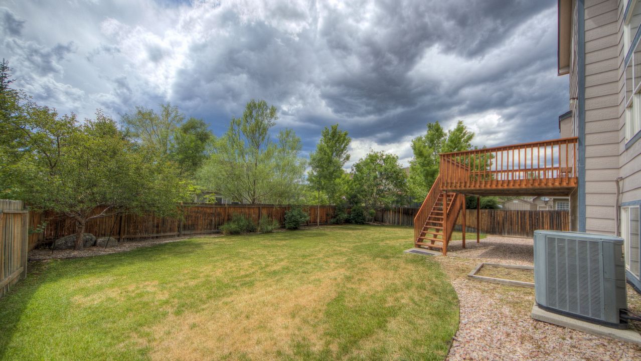 Back  Yard