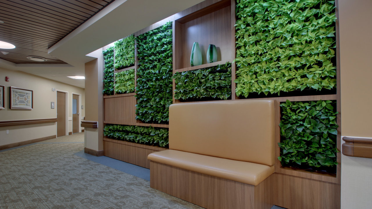 Live Plant Wall