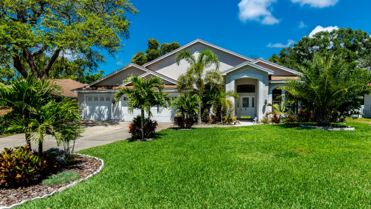 2994 Country Woods Ln, Palm Harbor, FL, 34683 Scene 1