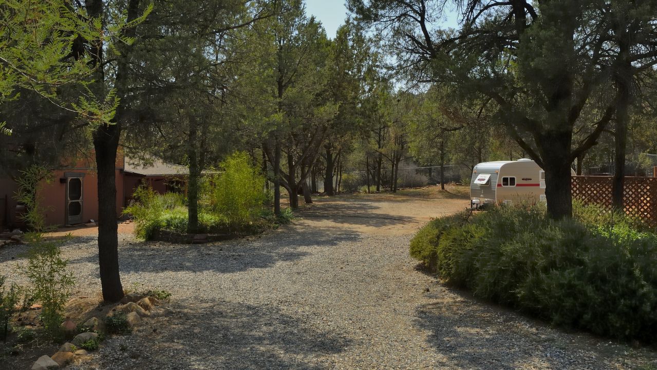 Towards Back Fence