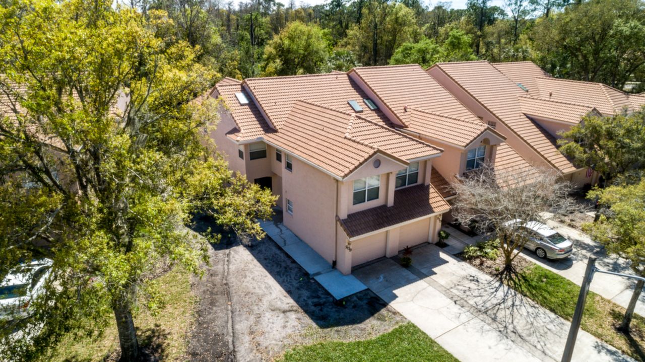 209 Clays Trl, Oldsmar, FL, 34677 Scene 2