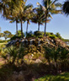 Bayswater Brokerage Florida LLC