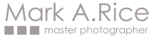 The Studio By Mark A Rice Logo